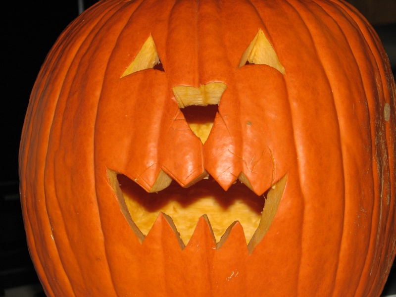 2009/10(October)/Halloween/800x600_20100206 590.JPG